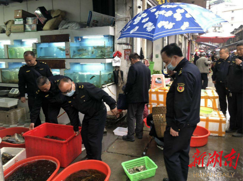 员 彭园 朱诗宏)自湘西土家族苗族自治州古丈县民族大市场复市以来,以