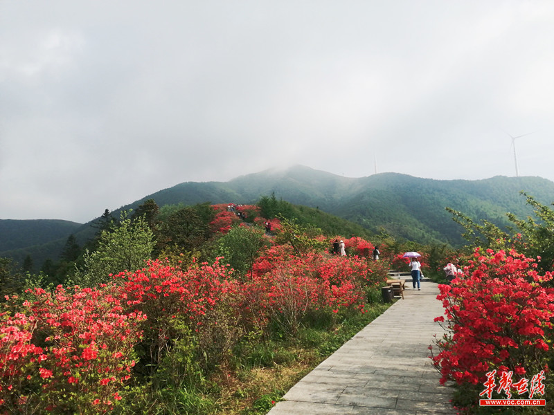 大熊山景区