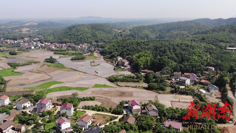 常德石板滩"脱胎换骨"又逢春