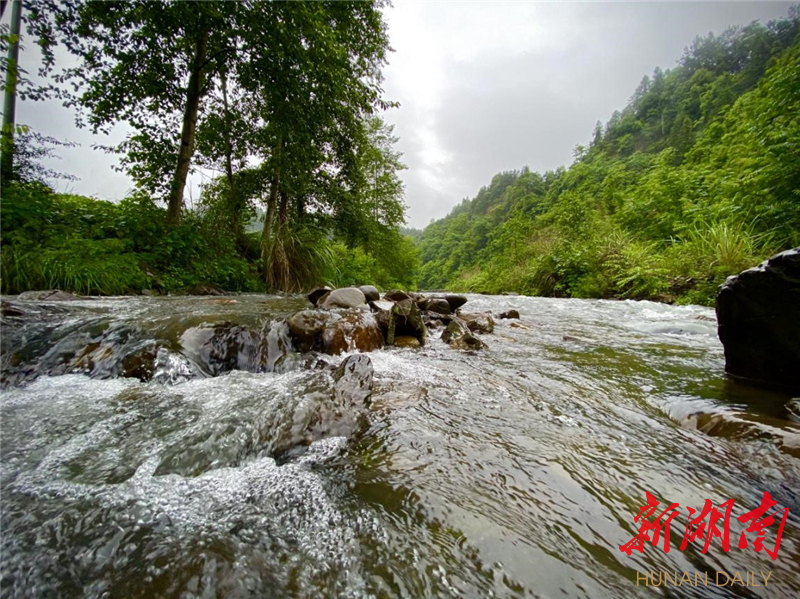 天鹅山下铺富路 红岩溪畔守乡愁——龙山县红岩溪镇毛坝村第一书记段