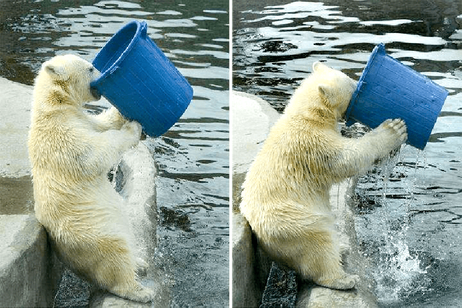 水太凉或者太烫