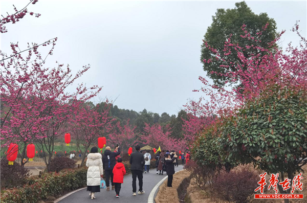 长沙县当季适合赏花的打卡点,包括松雅湖湿地公园,果园镇浔龙河樱花谷