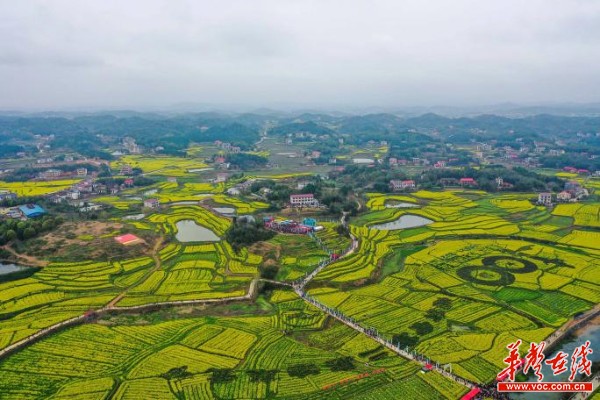 (以上图片均由主办方提供)近年来,双峰县依托厚重的文化和丰富的资源