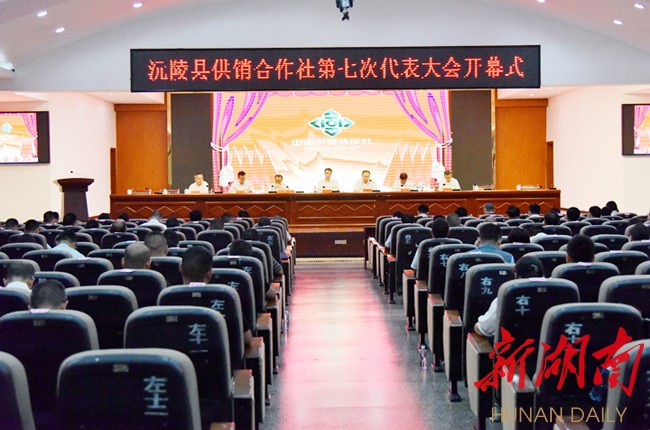 金楚宸)6月18日,沅陵县委副书记,县长提名人选易中华在县供销合作社第