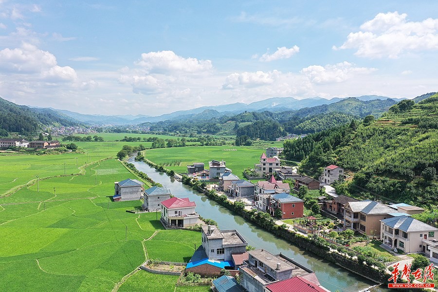 华声在线>湖南在线>焦点图>正文 6月22日,溆浦县黄茅园镇合田村,成片