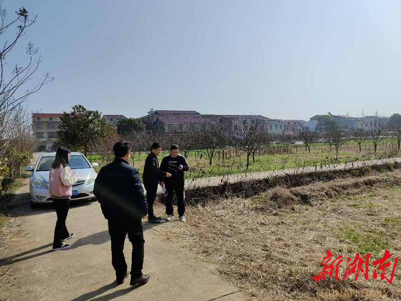 李龙)3月11日,笔者来到湘阴县杨林寨乡"沅港千亩绿色蔬菜产业园"建设