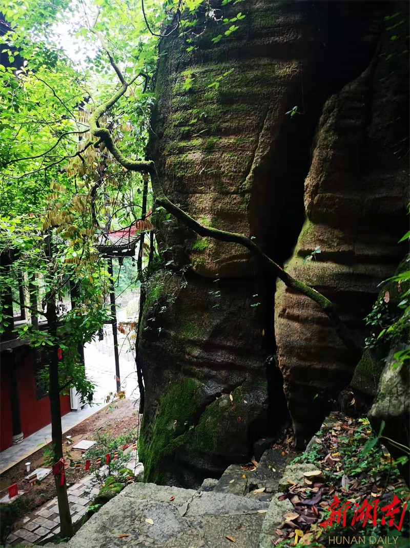 七律丨黄叶:游不二门观音岩寺