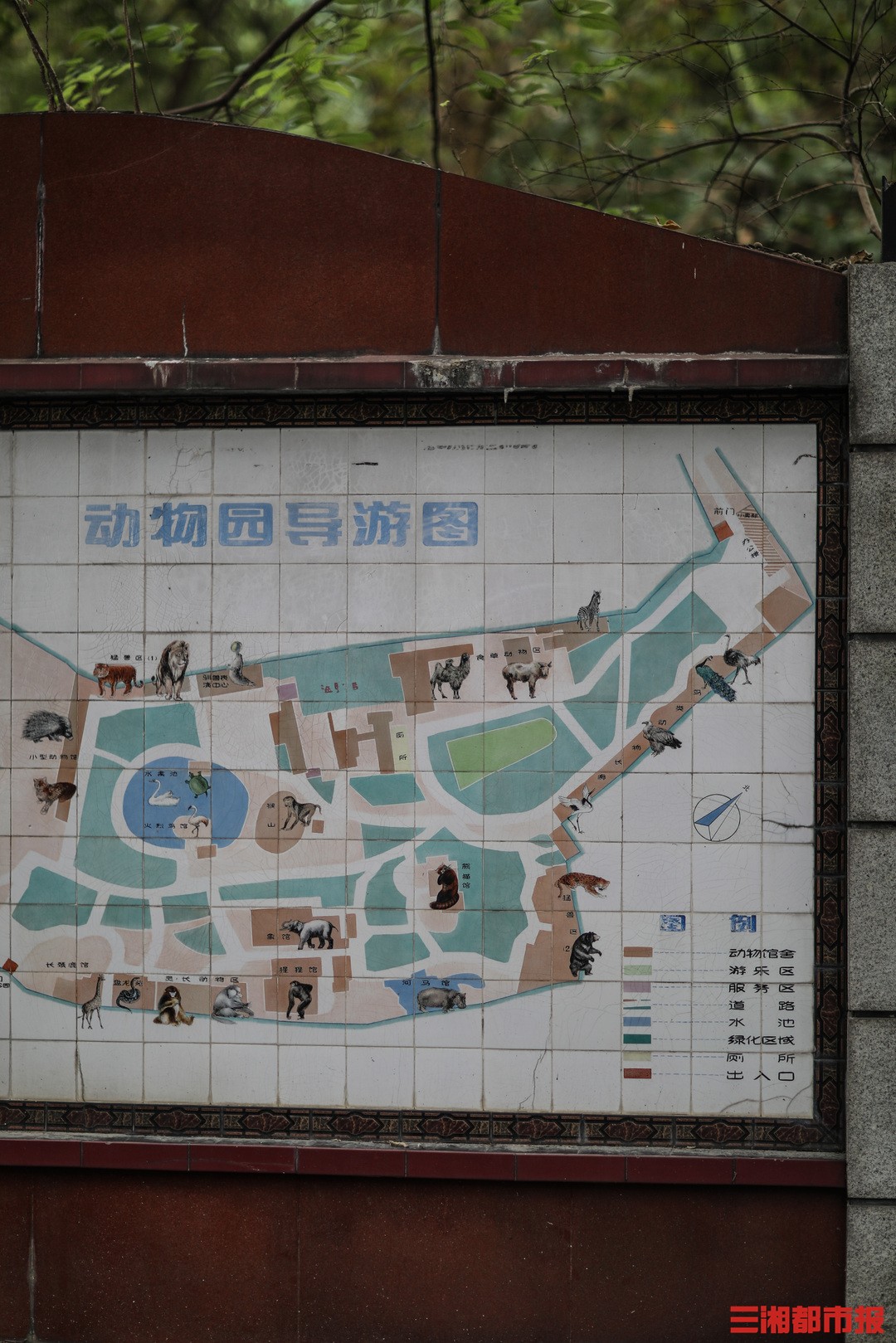 游览步道
