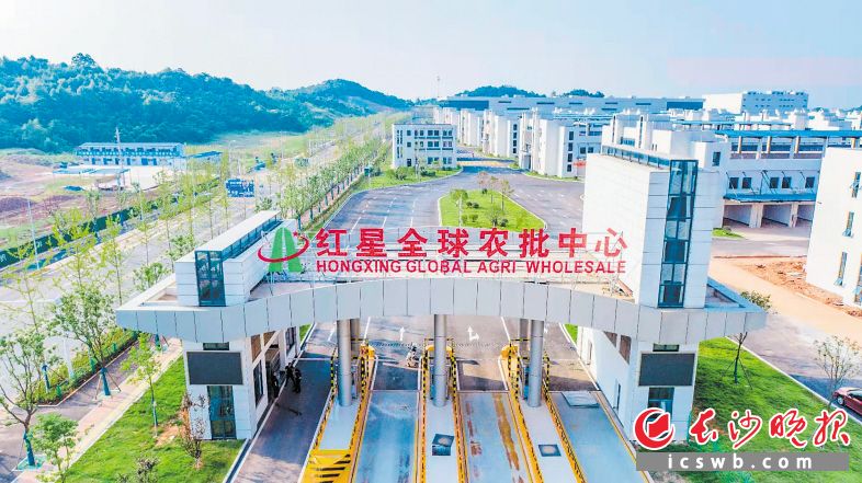 再过二十天新红星全球农批中心开业 拟打造成"中部果业航母"