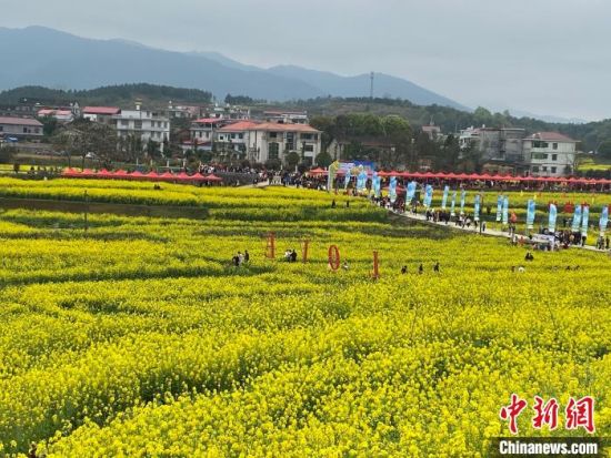 央媒看湖南|2021湖南油菜花节启幕 农旅融合助推乡村振兴