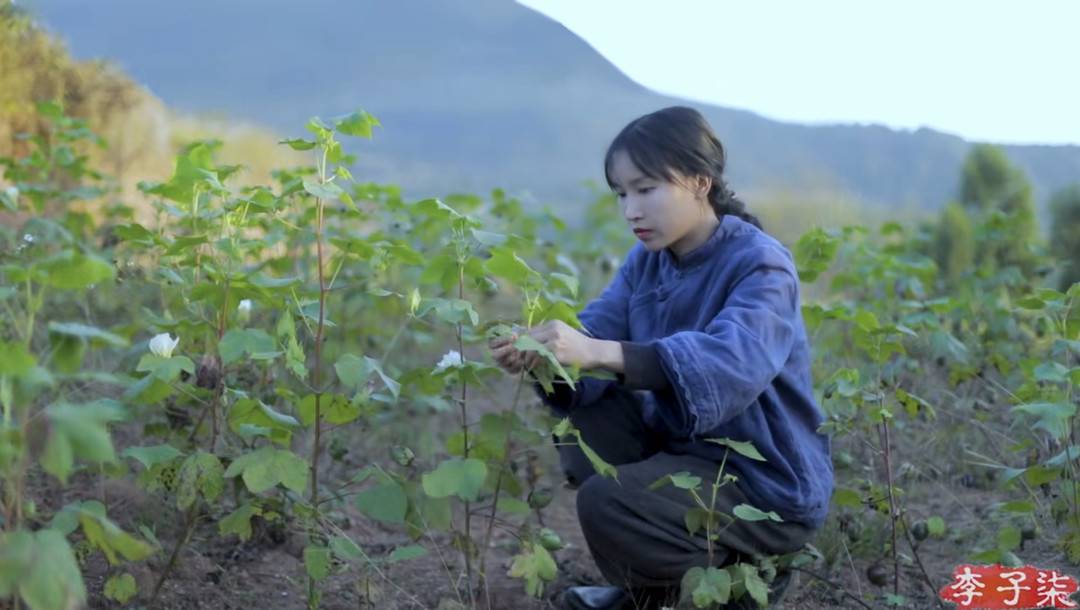 既有传递中国优秀传统文化的李子柒,也有向世界介绍中国故事的司徒