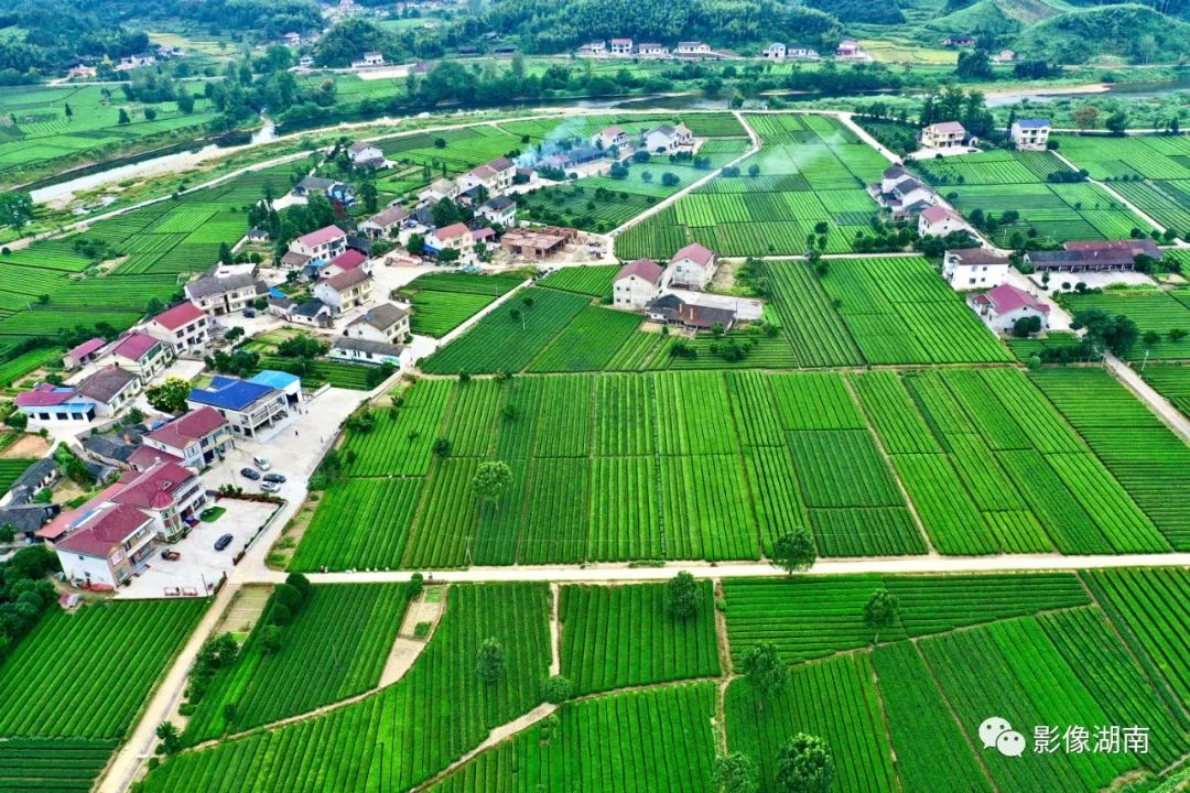 全面美化人居环境,岳阳市临湘县黄盖镇处处是美景.