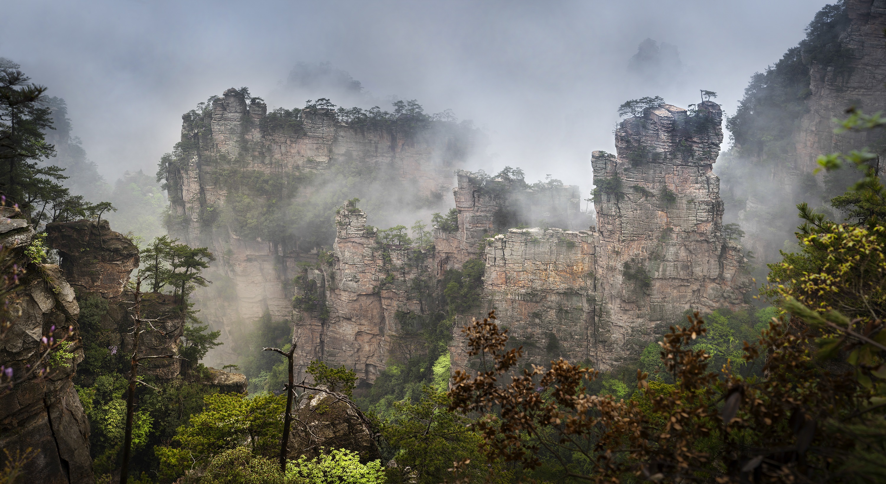 【每日一景】"网游张家界"〡杨家界 绝版峰墙天然长城