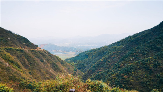 最美人间四月天何况此地是湘潭