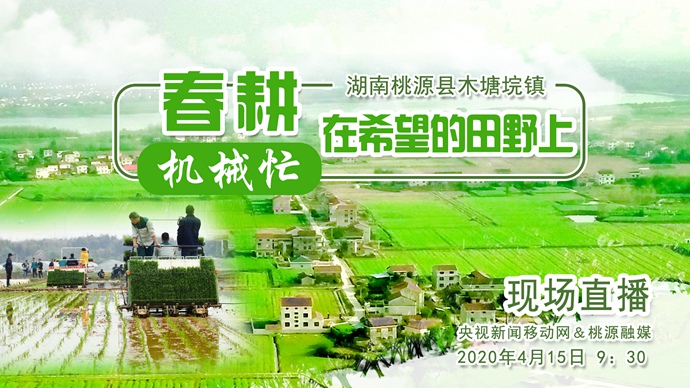 【直播】湖南桃源：希望的田野上 春耕机械忙