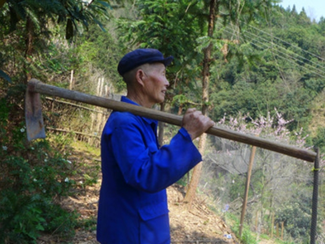 米庆笔：植树造林四十六年   身残志坚绿化家园