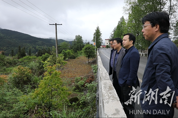 沿着永连公路沿线,苏小康一行走进茶林,麻江两镇各村组田间地头,查看