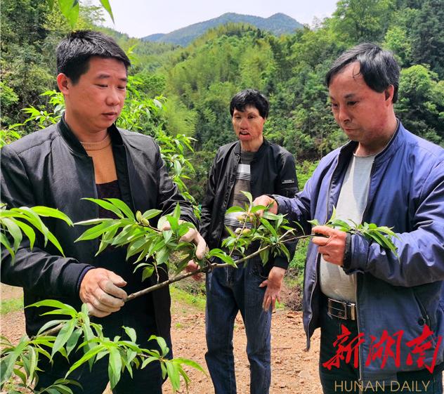 无手“硬汉”林名长：携手致富演绎大写人生