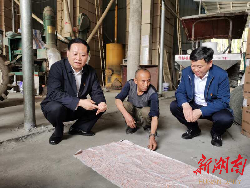 叶红专察看永顺县万坪镇3d精准印刷播种育秧新技术.