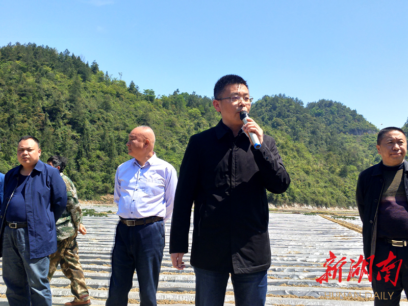 龙山召开2020年烤烟生产技术暨大田移栽现场培训会