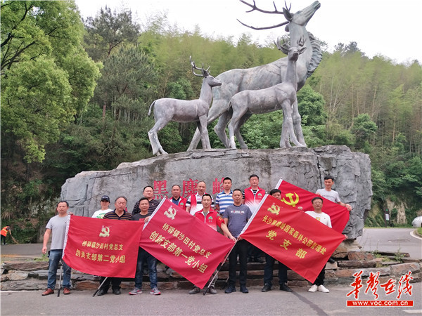 黑麋峰国家森林公园---湖南旅游景点名胜古迹风景区图片(图1)