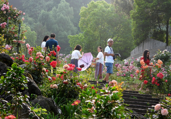 冷水江市花卉農(nóng)莊扮靚初夏 成為游客首選