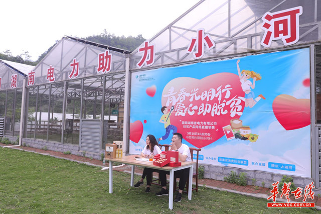 1小时带货3600单 国网湖南电力开展网络直播助脱贫攻坚