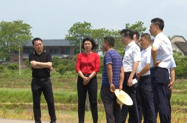 5月7日,市委常委,郴州高新区党工委书记,苏仙区委书记冯海燕调研