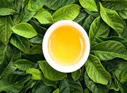 喝茶养生，先了解不同茶叶的特性和作用，因时因个人体质而确定
