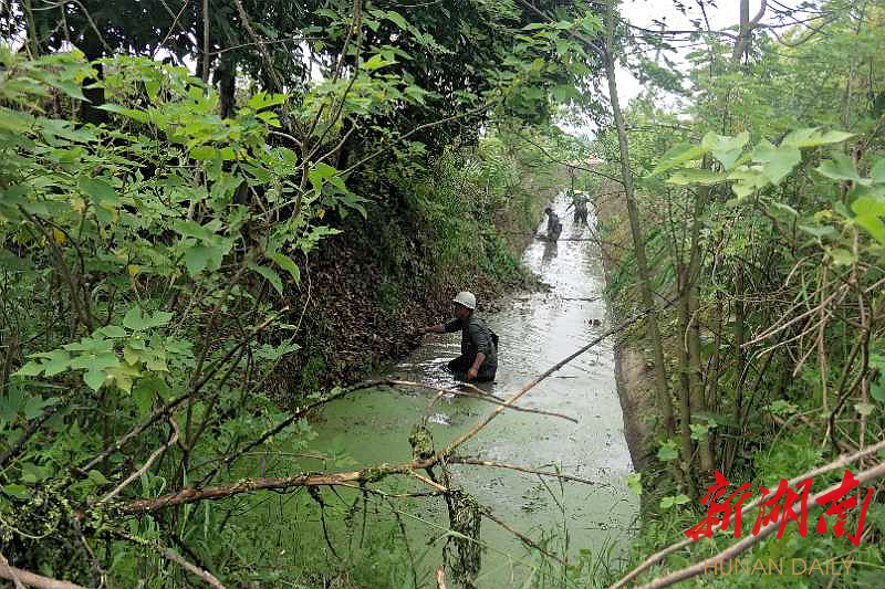南坪街道：转变居民思想 提升社区“颜值”