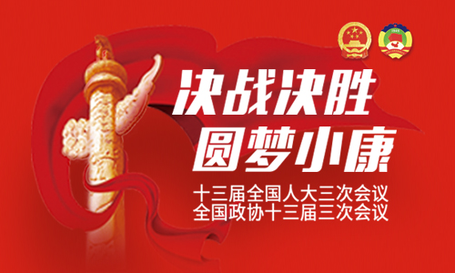 湖南代表团提出议案19件建议545件