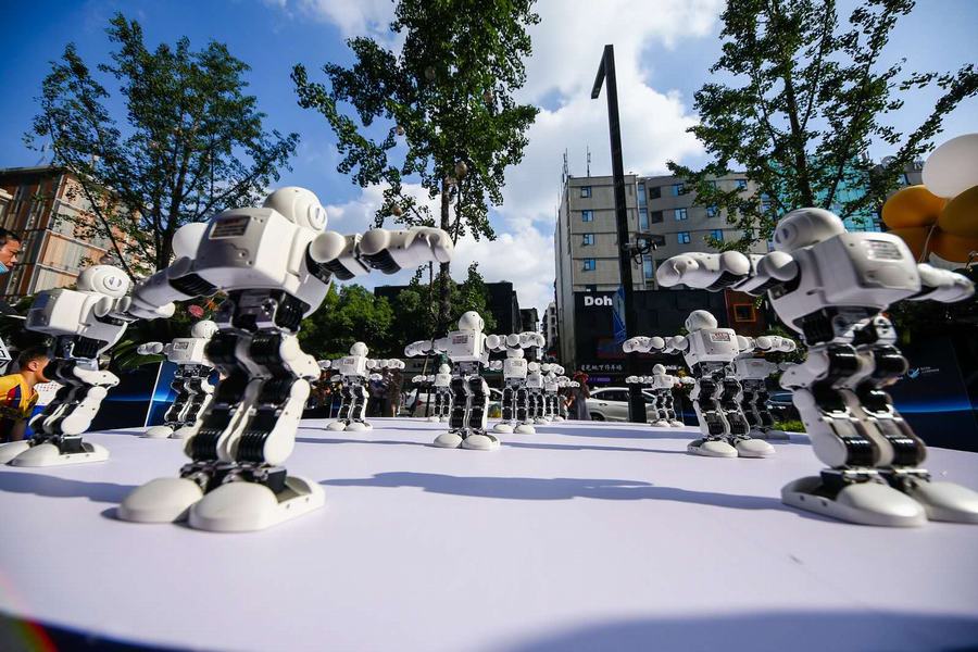 现场机器人表演