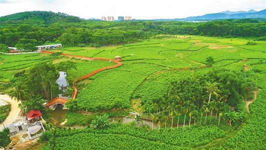 绿了山头 鼓了腰包  泸溪县生态扶贫效果好