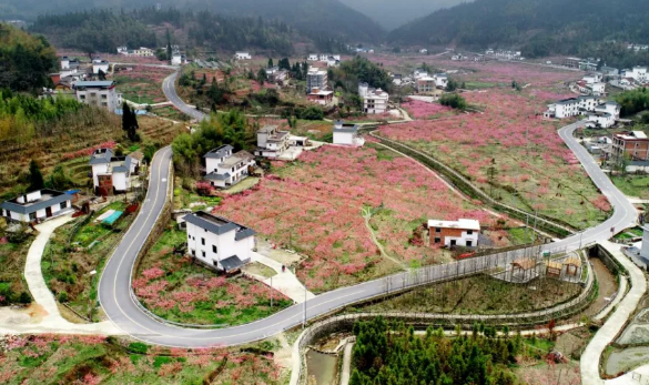 點贊！漚江鎮(zhèn)青竹村積極創(chuàng)建民主法治示范村