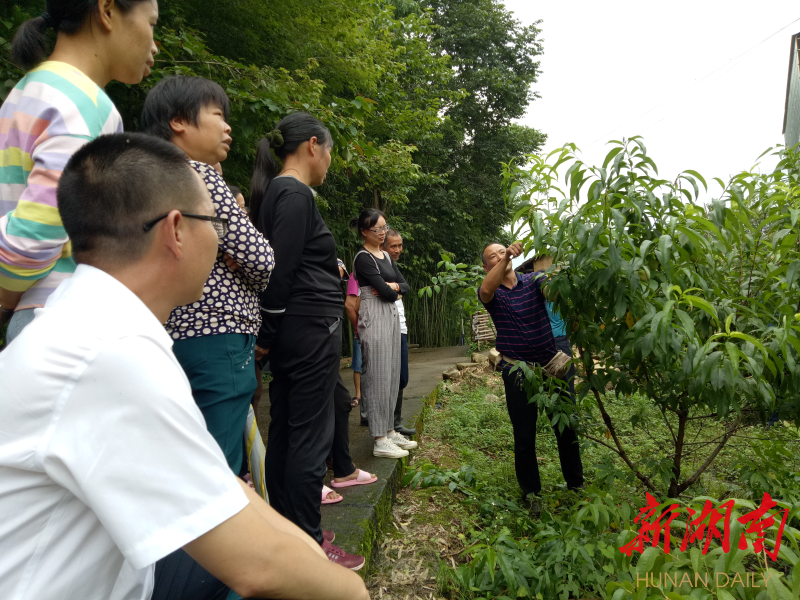 縣農(nóng)業(yè)專家走進田間地頭為農(nóng)戶開展技術培訓