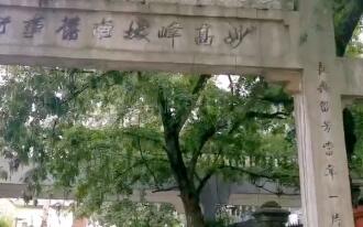 走向我们的小康生活｜千年妙高峰，蝶变宜居宜游“网红”地