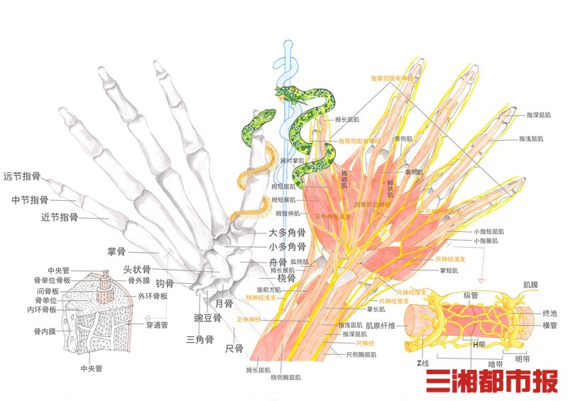 全面解析：掌握域名访问的方法和步骤-亿动网络笔记