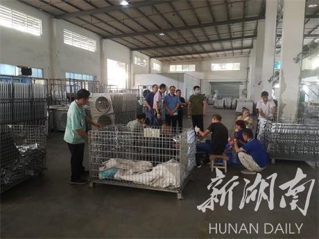 祁阳潘市镇：政企联合强管控，共筑“无毒”防火墙