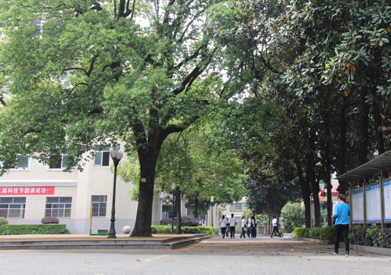 未派中考生注意!长沙部分民办学校还有富余学位