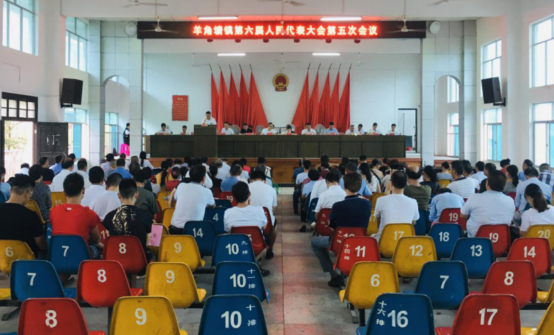 祁阳羊角塘镇召开第六届人民代表大会第五次会议