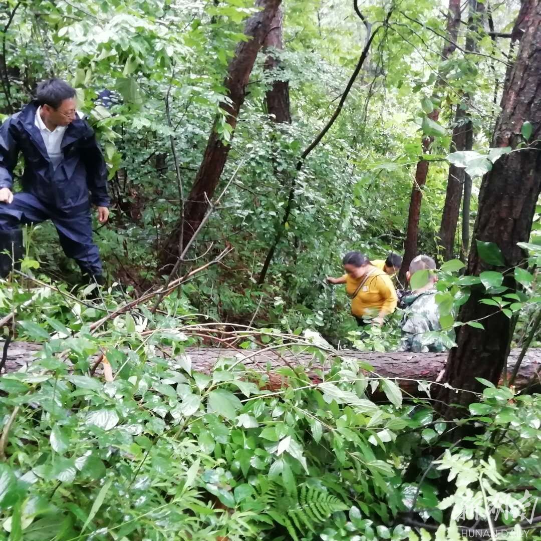 惊险，6万方泥石流从天而降！他们，与泥石流“赛跑”