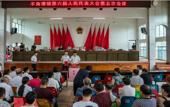 祁阳羊角塘镇：用好人大票决制 推进落实民生 实事