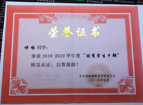 潇职学子获评2020年度湖南省普通高校“百名优秀大学生党员”
