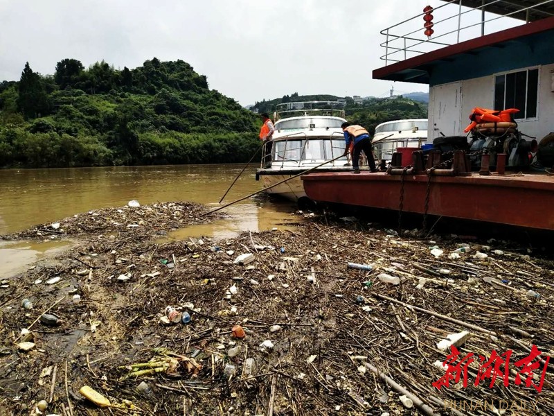 杨虹:酉水河上的"护河卫士"