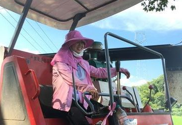 走向我们的小康生活丨种田千余亩“女汉子”喜迎夏粮丰收