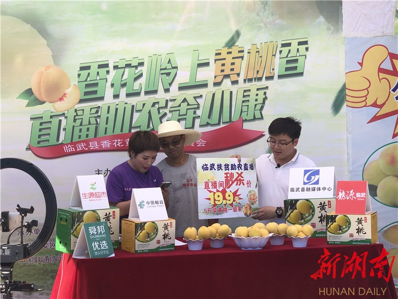 临武香花镇：果园直播售黄桃