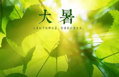 舌尖上的大暑节气：为何要吃荔枝、“喝暑羊”？