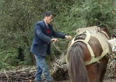 春天的号角：马背上的“长歌”