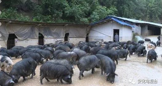 写好“后半篇”，安居又乐业 ——湖南做好易地扶贫搬迁后扶工作