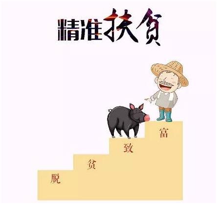 “扶贫妈妈”晋升“扶贫奶奶”——记双峰县审计局驻永丰街道松坪村扶贫工作队队长戴庆平